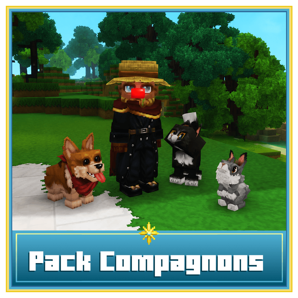 ✨ Pack Compagnons ✨