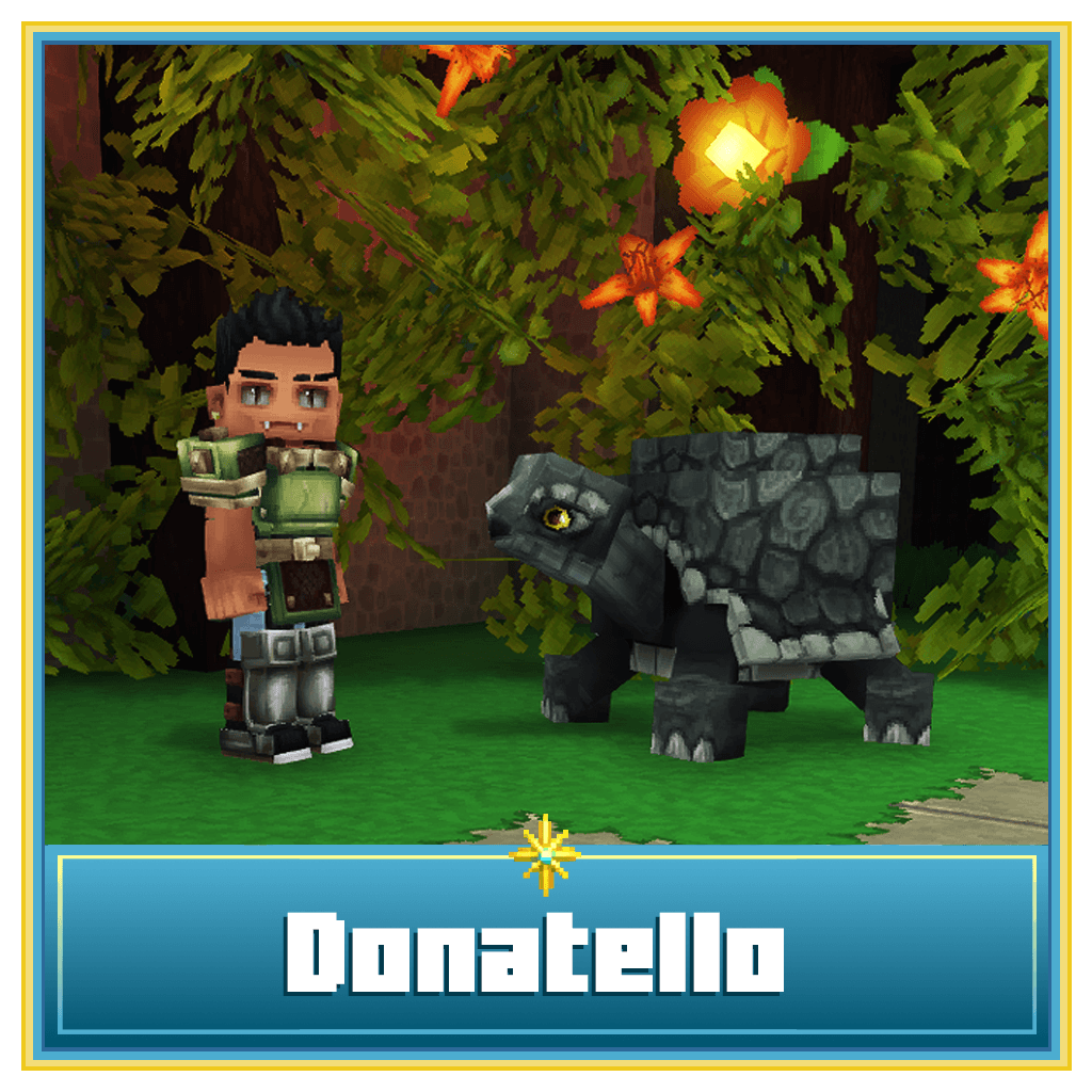 ✨ Donatello, la tortue ✨