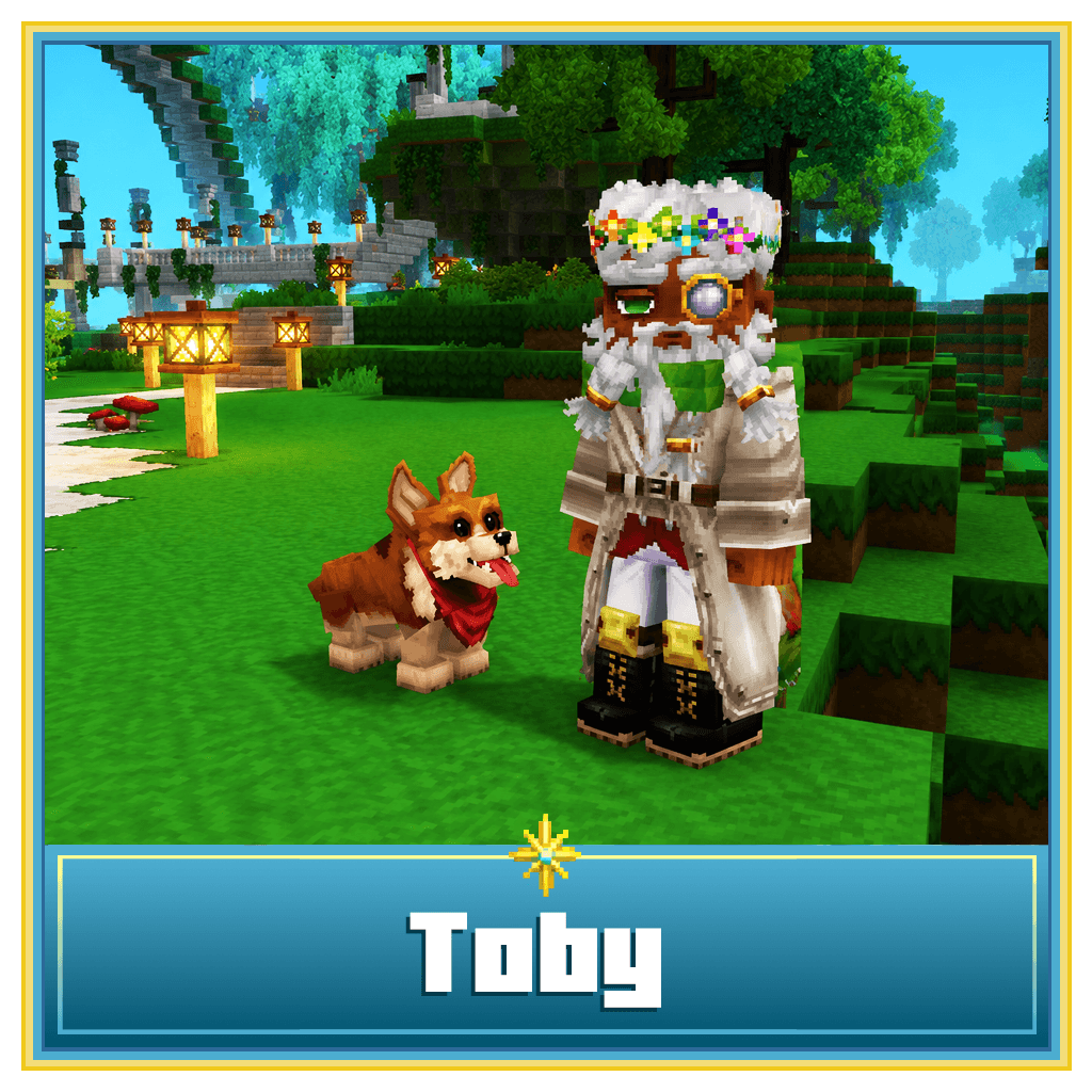 ✨ Toby , le chien ✨