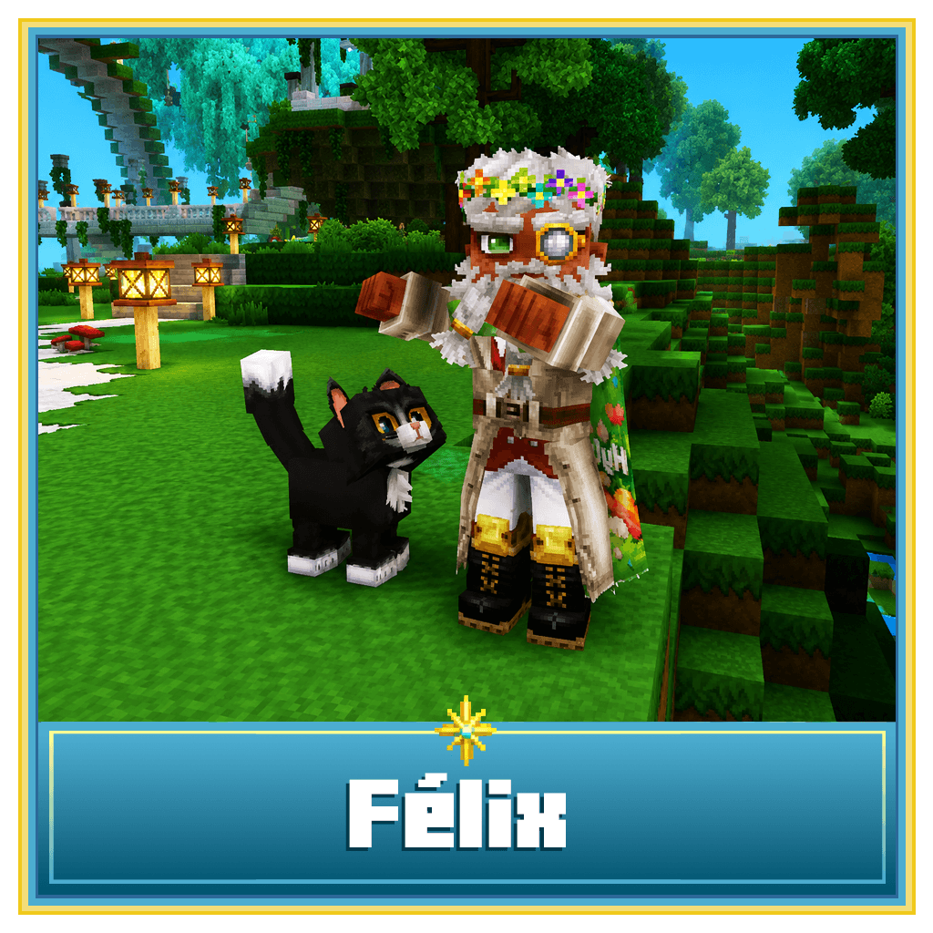✨ Felix  , le chat ✨